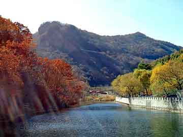 新澳天天开奖资料大全旅游团，上饶seo服务